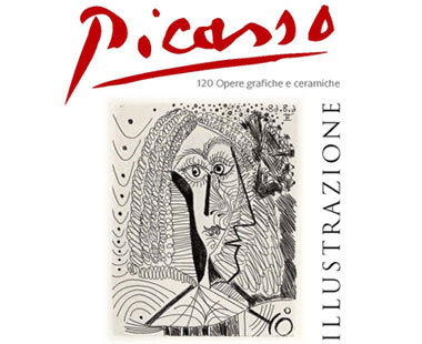 Picasso illustrazione - Copertina