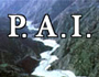 P.A.I. - Piano Assetto Idrogeologico